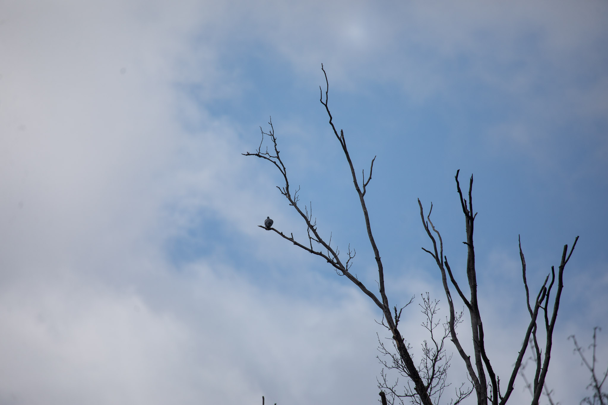 20220409144107 RD4 6449